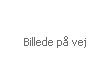 Dansani Vask Kantate 61 cm porcelæn hvid